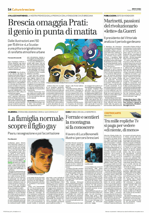 bresciaoggi 31 gennaio 2009